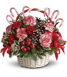 Candy Cane Christmas from Visser's Florist and Greenhouses in Anaheim, CA